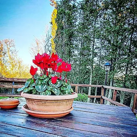 Rifugio La Foresta Farm stay Montioni Allumiera
